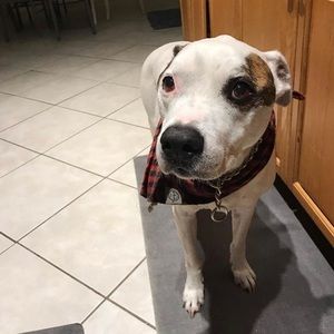 Meet your Posher, Chloe